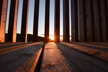 the setting autumn sun is creating this magical mood