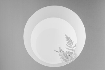 White, grey geometric background with round arches as channel with perspective, light, shadow, fern leaves, stage in modern futuristic abstract garden style for presentation, display, showing product.