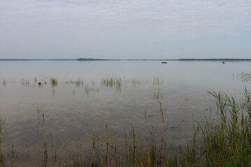 Gray morning on a picturesque lake. Clear, calm water and reeds in shallow water