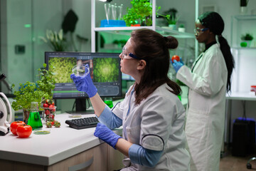 Chemist researcher woman doctor holding petri dish with green leaf sample working at gmo experiment in microbiology hospital laboratory. Biologist scientist analyzing modified genetically plant