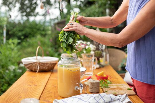 Zubereitung einer erfrischenden Bowle aus frisch geernteten Gartenkr&auml;utern.
