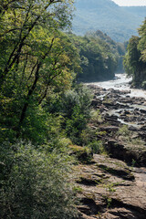 Fototapeta na wymiar fast mountain river in a green forest landscape