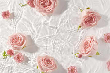 Summer or spring scene with pink roses in water. Valentines or woman's day background. Nature bloom idea.