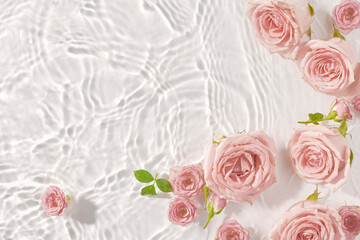 Flower composition with pink roses in water on white background, top view, copy space. Minimal flat...