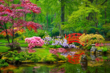 Fototapeta na wymiar Japanese garden, Park Clingendael, The Hague, Netherlands