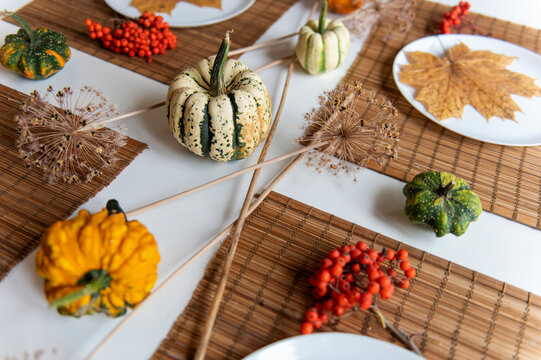 small pumpkins and dry brown maple leafs on white plates, autumn dinner table decors