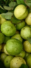 cucumbers in a market