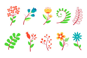 Large set of wildflowers. Botanical illustration, floral set.