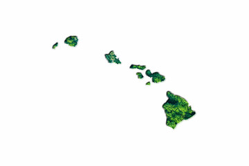 Green Forest Map of Hawaii
