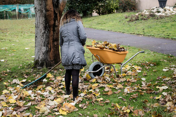 wall aged woman picking up leaves in the garden in autumn