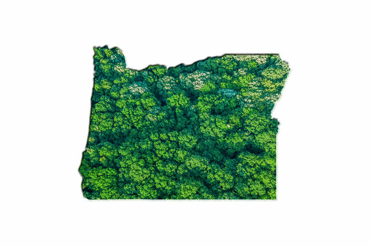 Green Forest Map of Oregon