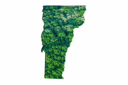 Green Forest Map of Vermont