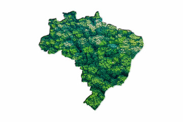Carte de la forêt verte du Brésil