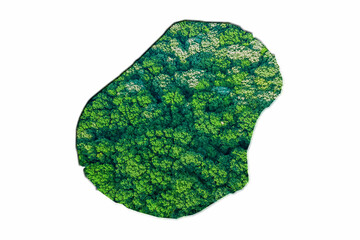 Green Forest Map of Nauru