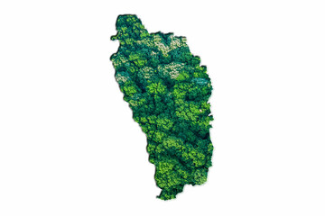 Green Forest Map of Dominica