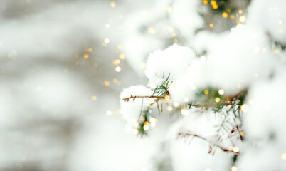 Fir tree branch under snow with garland lights, new year concept
