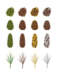 Set of brown and green cones of coniferous pine, spruce or cedar in gold sequins, with silver paint, fir needles or branch. Festive decoration for New Year, Christmas and design. Vector illustration
