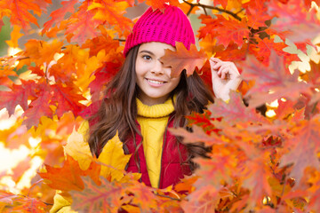 Naklejka na ściany i meble happy teen girl in hat with autumn colorful oak tree leaves, fall