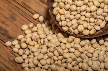 Soybeans placed in a bowl or plate are on the wood grain table