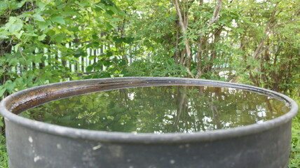 A barrel of water in the garden