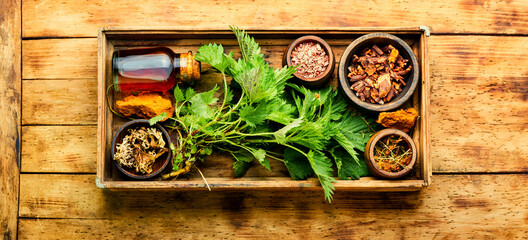 Healing herbs in herbal medicine