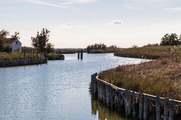 Fototapeta na wymiar Comacchio's lagoons - Po Delta Natural Park