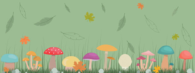 Vector horizontal cartoon pattern of edible and inedible
 mushrooms in the forest. Autumn leaf fall.