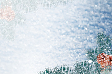 Fototapeta na wymiar Christmas tree in the snow
