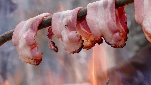 Bacon fried on a campfire