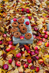 Apple cider donuts in the autumn garden