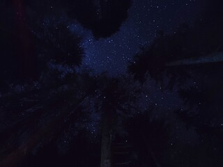 starry night city