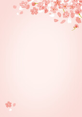 Fototapeta na wymiar ピンクの桜フレーム春のバナーやチラシにピッタリ！