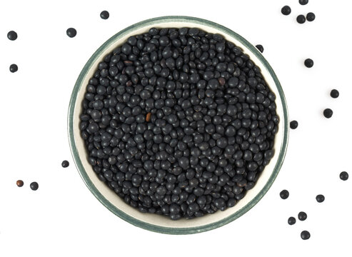 black lentils in a bowl isolated on white background