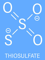 Thiosulfate anion, chemical structure. Skeletal formula.	