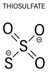Thiosulfate anion, chemical structure. Skeletal formula.	