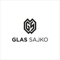 Letter GS Logo Design Vector