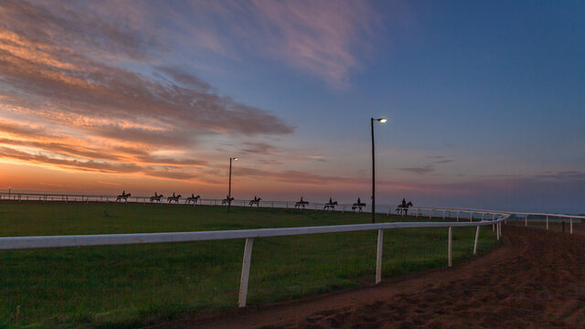 Horses Riders Morning Training Silhouettes Scenic Lifestyle Landscape