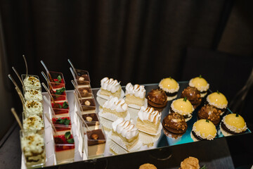 Different sort of beautiful pastry, small colorful sweet cakes. Close up.