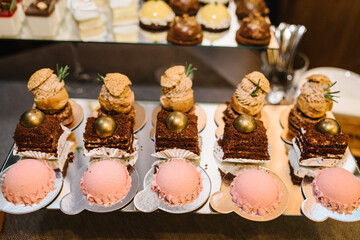 Different sort of beautiful pastry, small colorful sweet cakes. Close up, top view.