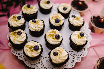 Cupcake, chocolate cupcakes with white cream, selective focus, close up. Cupcakes decorated on top with blueberries. Top view.