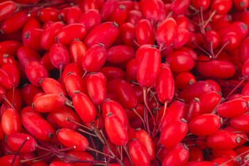 heap of fresh red barberries background