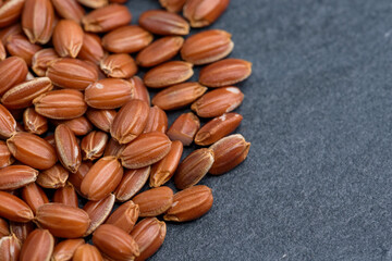 Ancient rice, brown Red rice (close up)