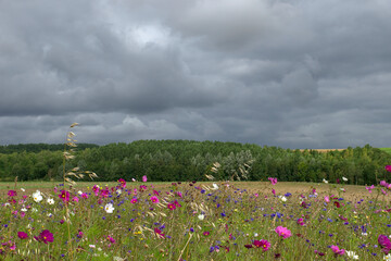Paysage de la campagne