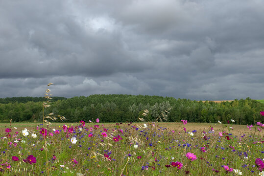 Paysage de la campagne