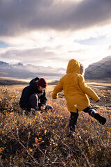  Blueberry picking iceland man and son