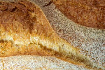 White wheat bread baguette