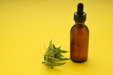 Cannabis CBD oil bottle and marijuana buds flower over a yellow background