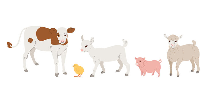 Farm animals kids. Calf, pig, lamb, kid and chicken. Vector flat illustration.