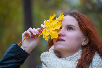 portrait of a red - haired smiling girl in a jacket and scarf with maple leaves in her hand . against the background of autumn nature, the concept of human emotion