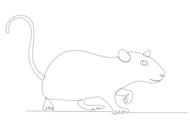 mouse, continuous line drawing, sketch, vector